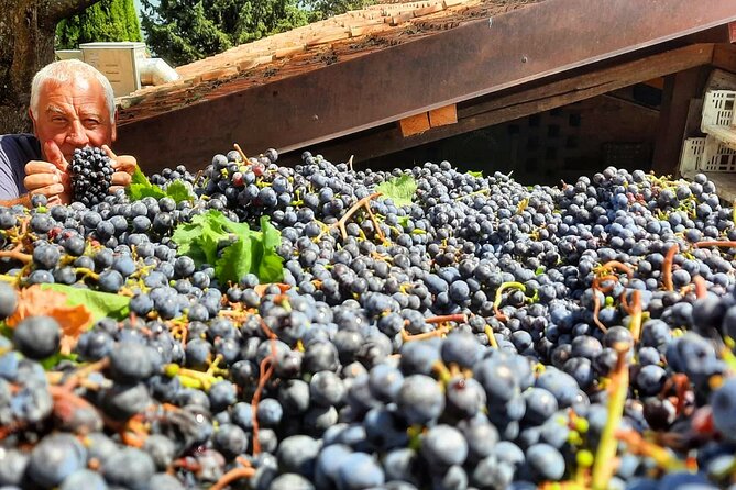 Greve in Chianti Wine Tasting and Winery Tour - Arriving at Azienda Agricola Brogioni Maurizio