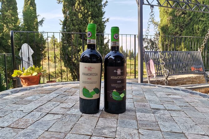 Greve in Chianti Wine Tasting and Winery Tour - Seeing the olive oil side of the farm