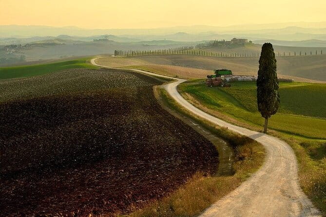 Guided tour in wonderful Tuscany - Three hours among the clay hills