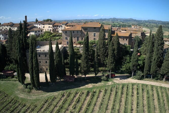 Guided tour with wine tasting and local organic products - Key points at a glance
