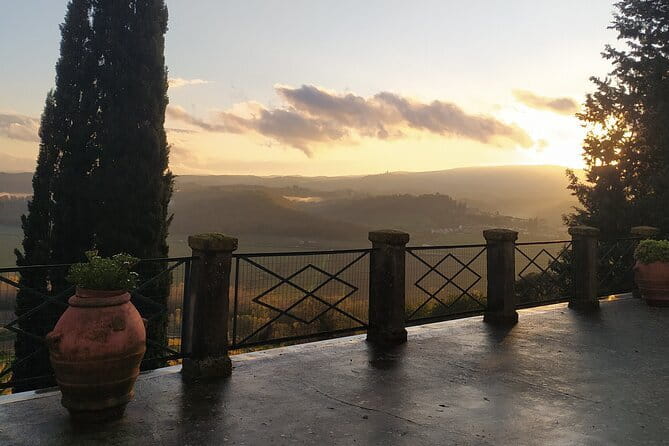 Guided tour with wine tasting and local organic products - A farm visit rather than a quick tasting