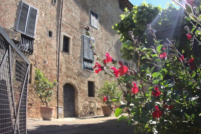 Guided tour with wine tasting and local organic products - Cancellation and booking advice