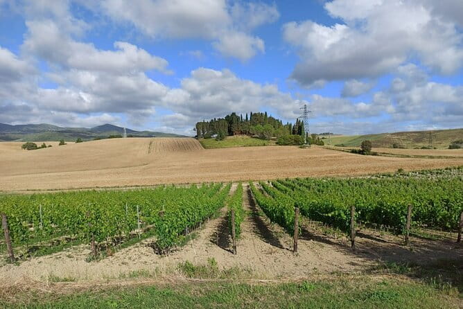 HALF-DAY: Chianti Classic Tour with Wine Experience & visit of San Gimignano - Cantine Guidi and the five-wine tasting