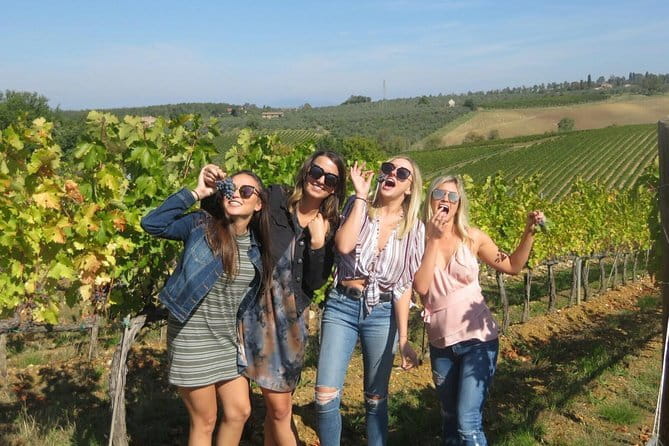 Half-day Chianti Classico Wine tour from Florence - Small Group - Leaving Florence at 2:00 pm