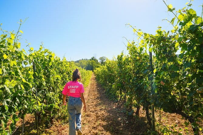 Half day Chianti Vineyard Escape from Florence with Wine Tastings - Leaving Florence beside Santa Maria Novella Station