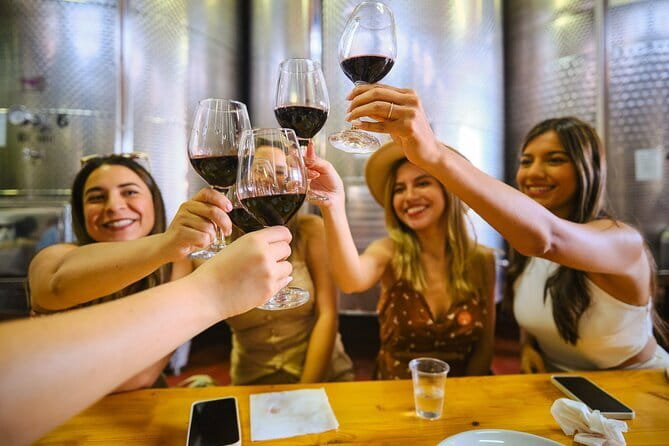 Half day Chianti Vineyard Escape from Florence with Wine Tastings - What the wine tasting is really like