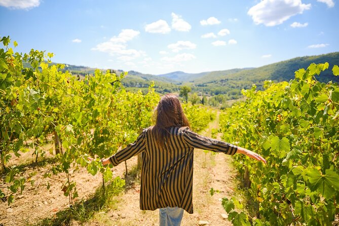 Half-day Experience to San Gimignano Hills with Picnic and Wine - How the guide and group size affect the day