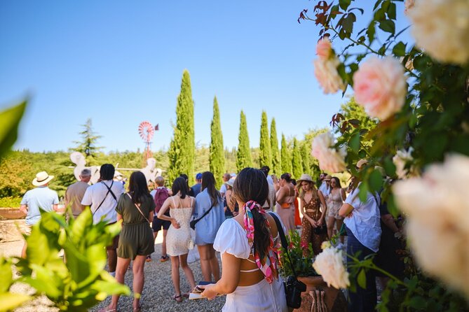 Half-day Experience to San Gimignano Hills with Picnic and Wine - Is $95.18 good value from Florence?