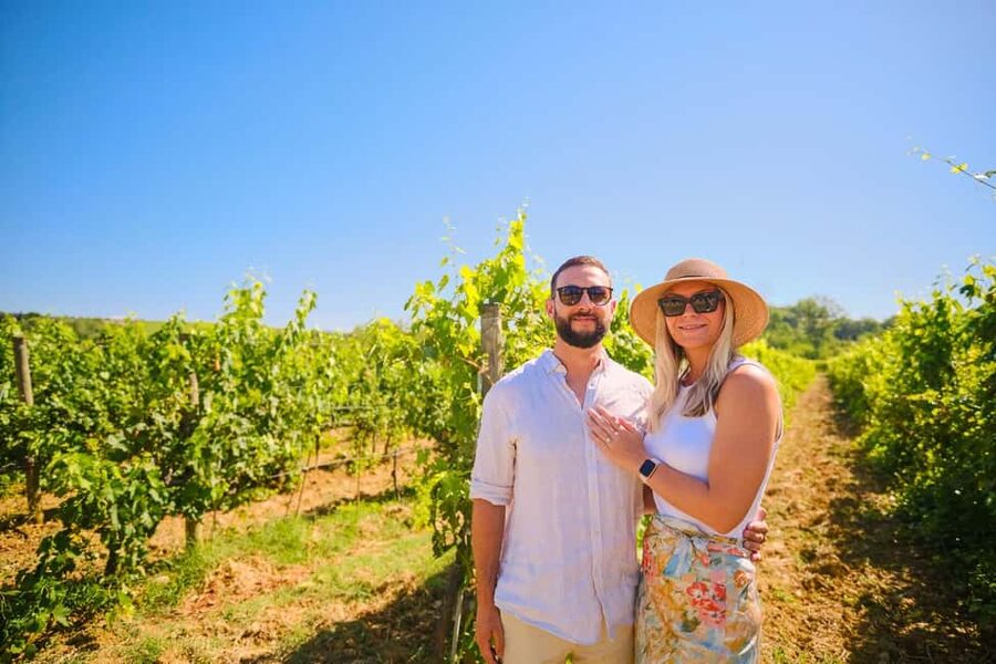 Half-day Hills Experience to San Gimignano with Pic Nic Wine - Timing, meeting point, and the five-hour pace