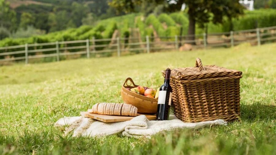 Half-day Hills Experience to San Gimignano with Pic Nic Wine - Is $93 a fair price?