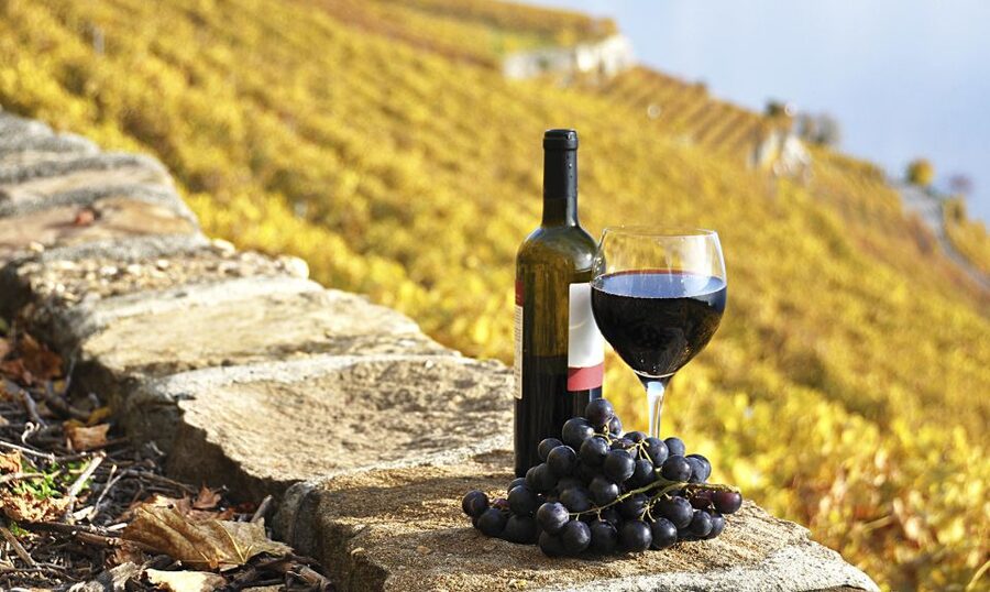 Half-Day Tour from Florence: Chianti Colors & Flavors - What the $133.68 price really covers