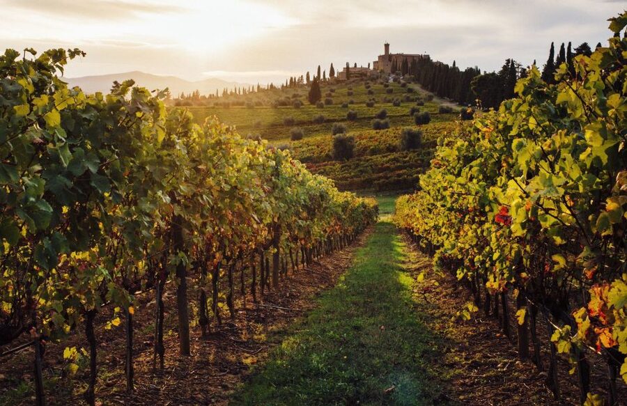 Half-Day Tour from Florence: Chianti Colors & Flavors - Who will enjoy this half-day outing