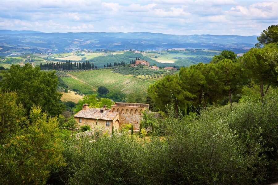 Half-Day Tour of San Gimignano From Florence - Your first look at the towers