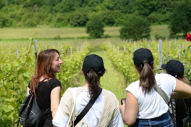 Hike & Wine Tour - Who should book this outing?