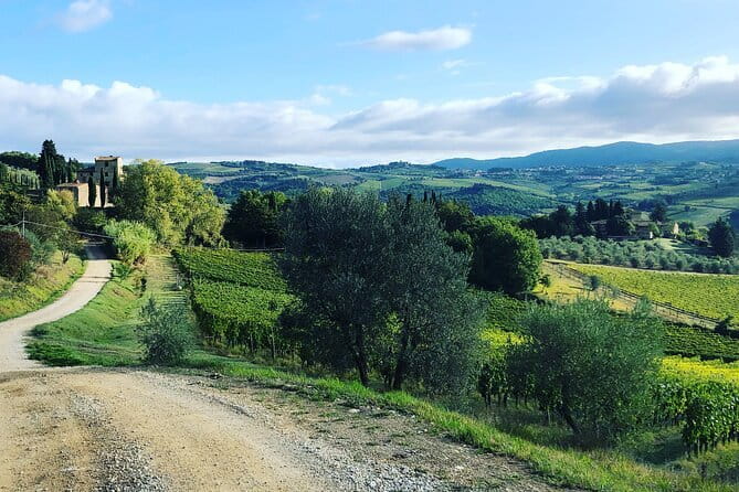 Hiking Tuscany & Chianti Wine - 3 Organic Wineries with lunch - Why this Chianti day feels different