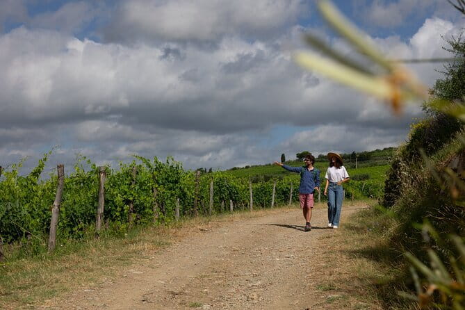 Hiking Tuscany & Chianti Wine - 3 Organic Wineries with lunch - Walking through the Tuscan hills
