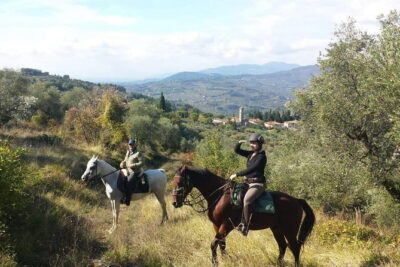 Horse ride, Olive Oil and local foods tasting in a Tuscan farm