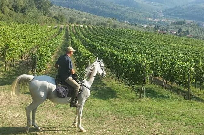 Horseback ride and gourmet cuisine in a historic food shop - Key points at a glance