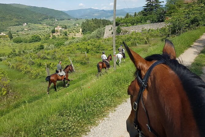 Horseback ride and gourmet cuisine in a historic food shop - From Florence to the Chianti countryside