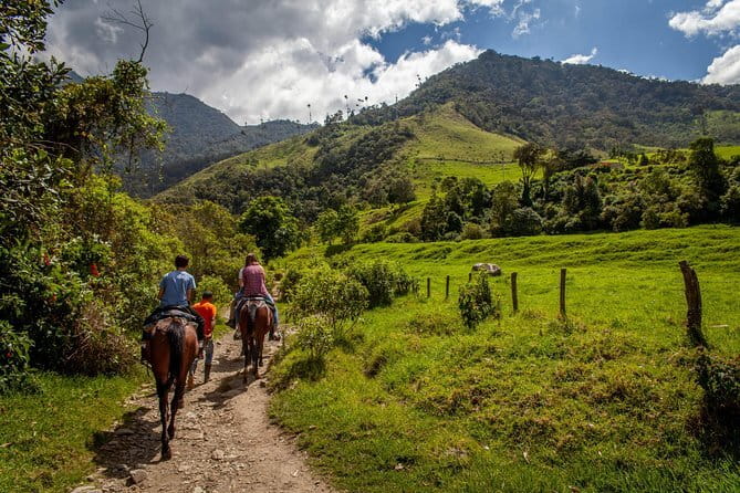 Horseback ride and gourmet cuisine in a historic food shop - The four-hour schedule and its limits