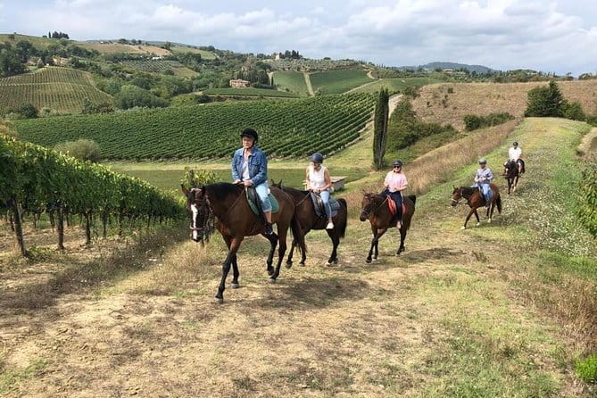 Horseback Ride in S.Gimignano with Tuscan Lunch Chianti Tasting - At a glance: what this Tuscan day includes