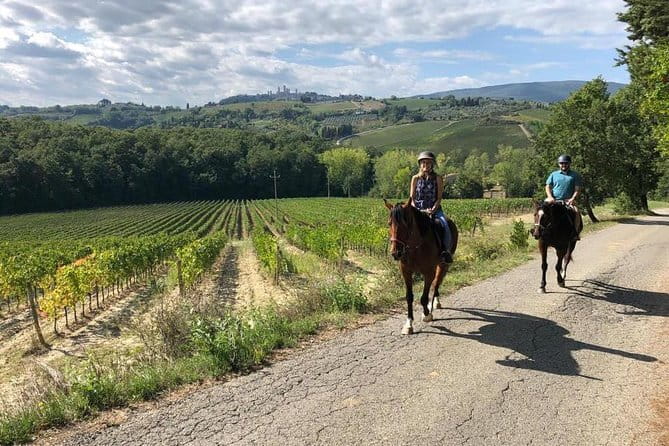 Horseback Ride in S.Gimignano with Tuscan Lunch Chianti Tasting - The morning ride through olive groves and farm country