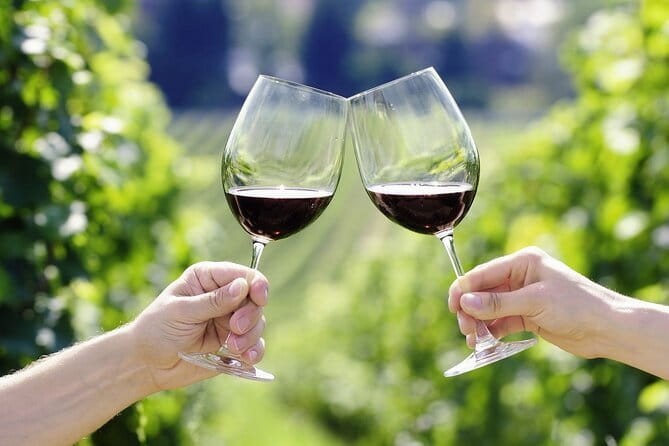 Horseback Riding with Wine Tour from Florence - One Hour on Horseback Among Vineyards