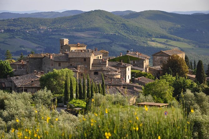 It's Wine Time! 2 wineries & farm-to-table lunch—max 8 pp - The guides make the wine approachable