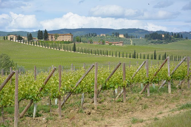 It's Wine Time! 2 wineries & farm-to-table lunch—max 8 pp - Is the $272.11 price fair?