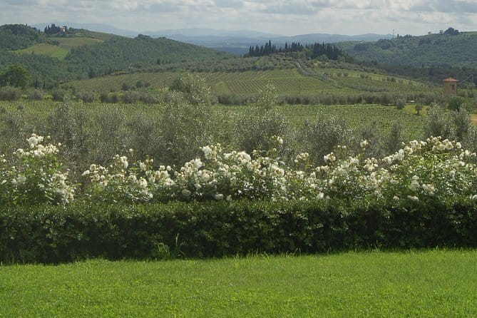 Journey through Italian Cheese - Why the small group size matters