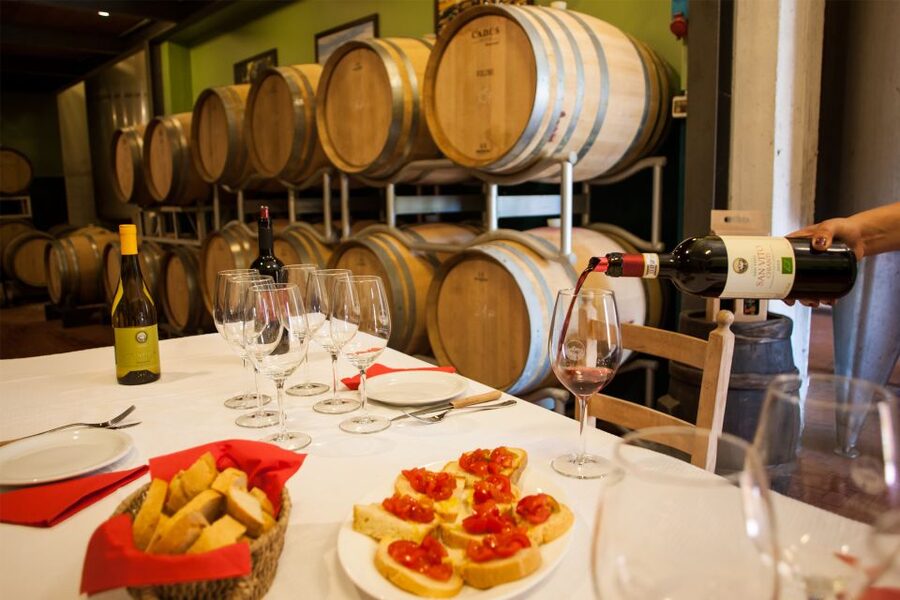 Leonardo da Vinci's Homeland Private Excursion from Florence - Who Will Enjoy This Excursion Most