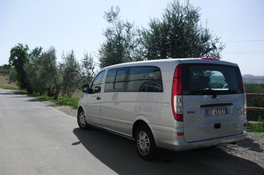 Livorno Port, Pisa, Florence: Full-Day Shore Excursion - The Livorno port pickup and long first transfer