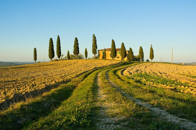 Livorno Shore Excursion: Chianti and Tuscany Countryside Private Wine Tour - Is $553.90 per person a fair price?