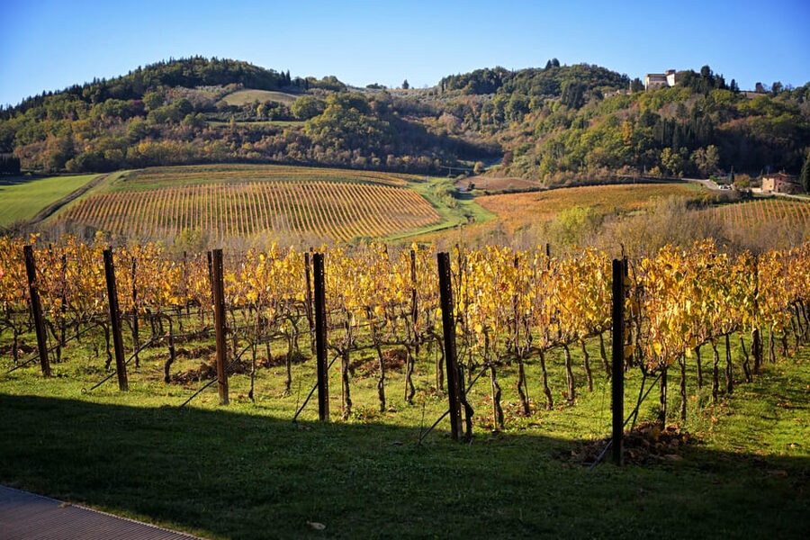 Magic Tuscany Tour - Val d’Orcia is the main event