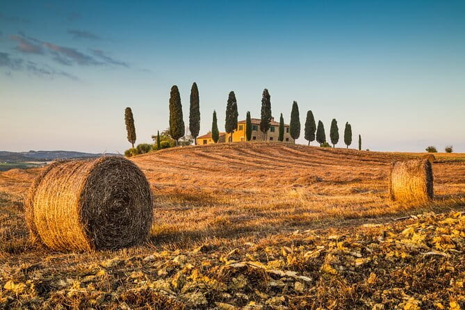 Medieval Tour in Monteriggioni and Val d'Orcia from Florence - Montalcino, the hill town of Brunello