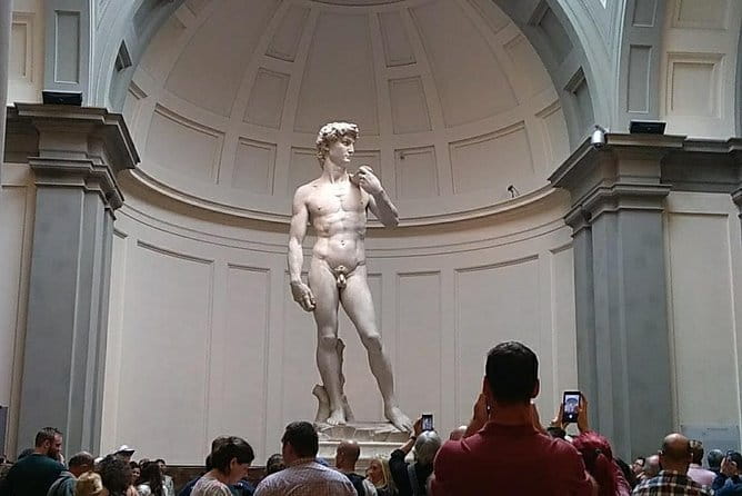 Michelangelo's David tour and entry tickets - Small group tour - Why skipping the Accademia queue matters