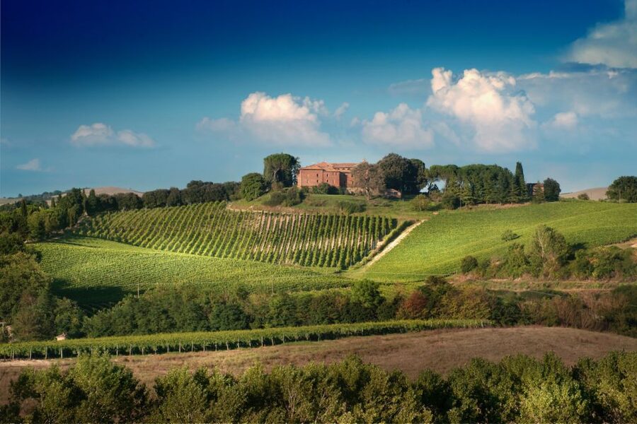 Montalcino: Brunello Wine Tasting & Lunch in a Tuscan Castle - Key points to know before you book