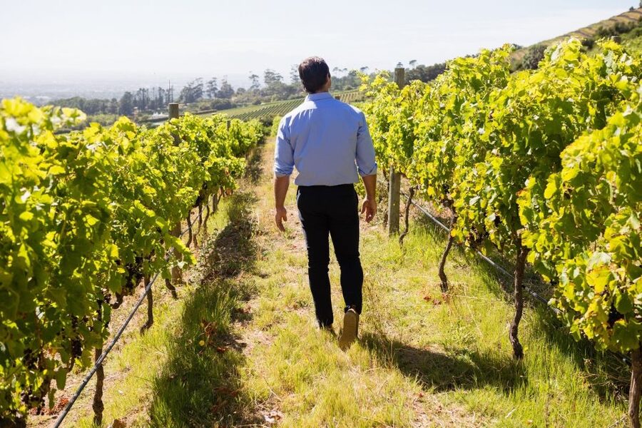 Montalcino: Castle and Vineyards Tour with Tasting - A Castle Tour First, a Wine Tasting Second