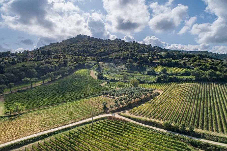 Montalcino: Premium Wine Tasting with light-lunch and Tour - Inside the cellar, where the differences begin
