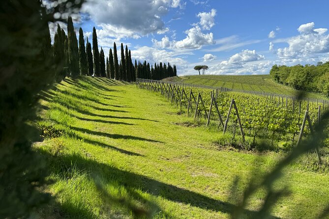 MONTALCINO Private E-Bike & Brunello Winery Experience - From Colsereno toward Buonconvento