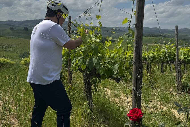 MONTALCINO Private E-Bike & Brunello Winery Experience - The winery finish at Colsereno