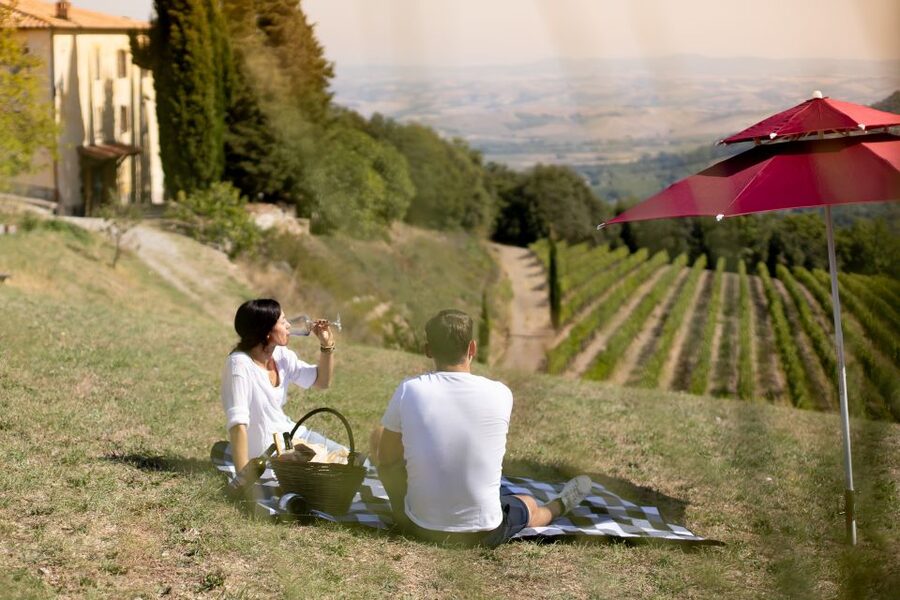 Montalcino: Vineyard Picnic with a Bottle of Wine - What Goes Into the Picnic Basket