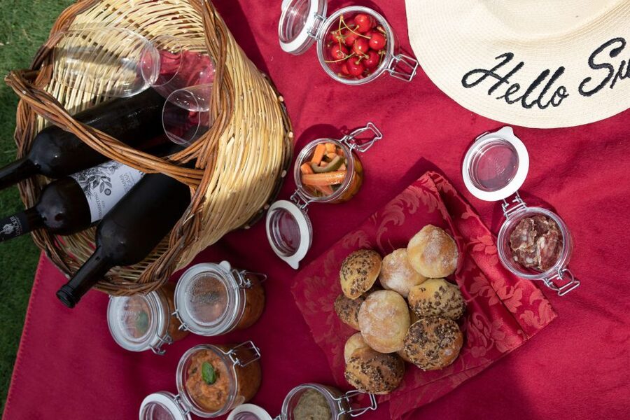 Montalcino: Vineyard Picnic with a Bottle of Wine - Who Will Enjoy This Most?