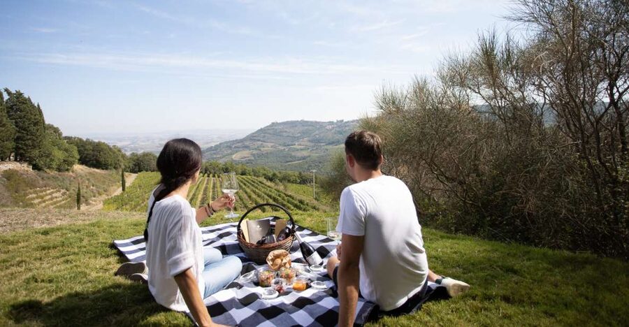 Montalcino: Vineyard Picnic with a Bottle of Wine - My Practical Verdict