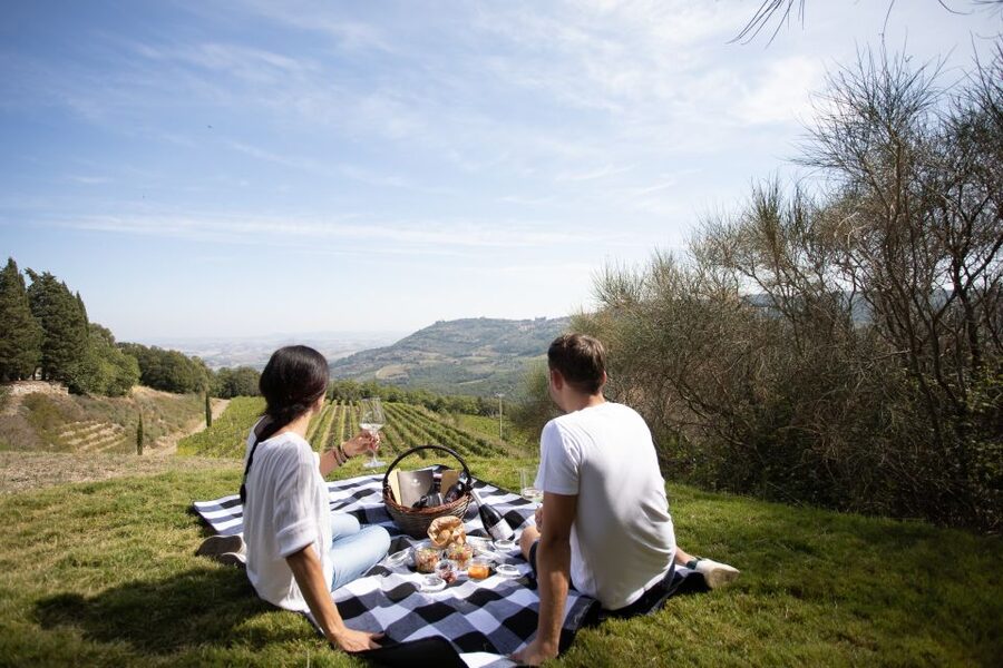Montalcino: Vineyard Picnic with a Bottle of Wine - The Optional Vineyard and Cellar Tour