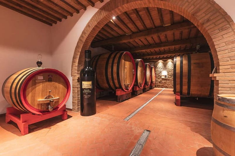Montalcino: Vinyard Tour with Vertical Brunello Tasting - A small winery visit in northwestern Montalcino