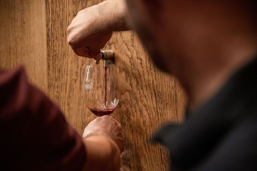 Montalcino: Vinyard Tour with Vertical Brunello Tasting - Is $55.80 a fair price?