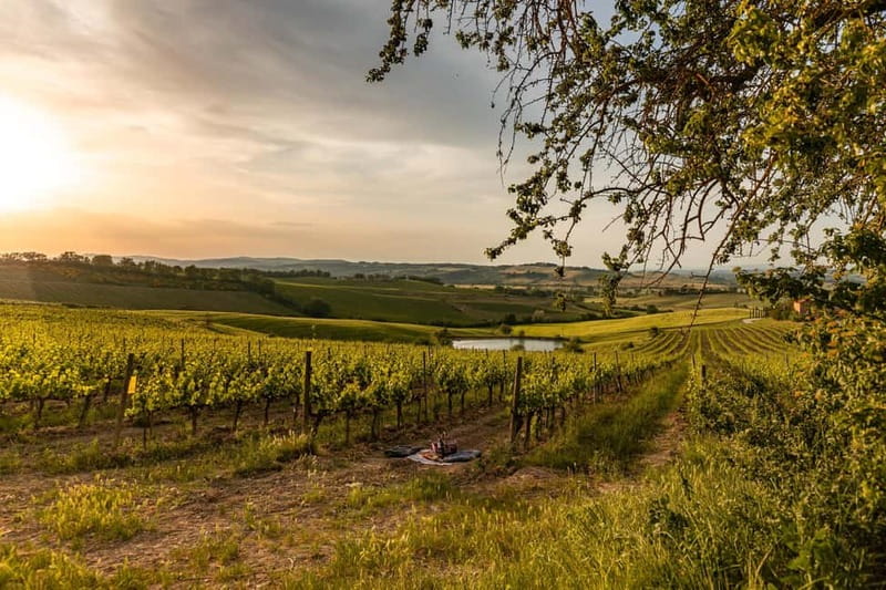 Montalcino: Wine Tasting and Tuscan Lunch - Inside the renovated cellar