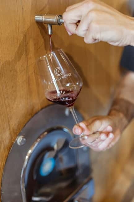 Montalcino: Wine Tasting and Tuscan Lunch - Walking through the organic vineyard