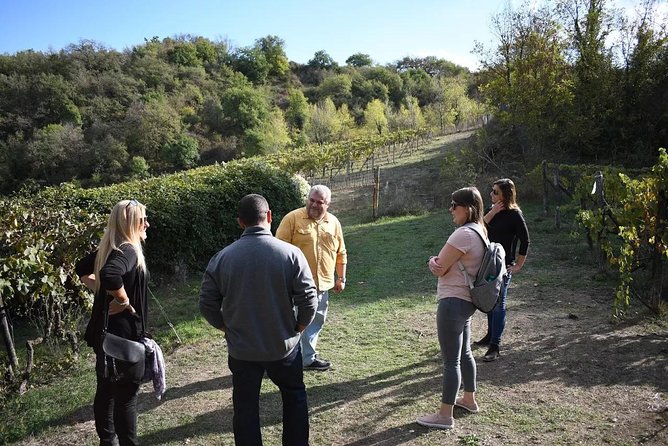Montalcino wine tour - Starting at Via della Circonvallazione at 10 a.m.